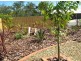 6 Bilby Drive, Morayfield QLD 4506