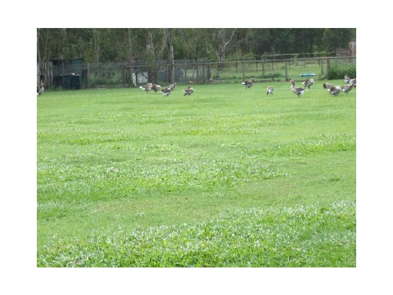 Morayfield QLD 4506