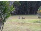Lot 2 Lorikeet Court, Upper Caboolture QLD 4510