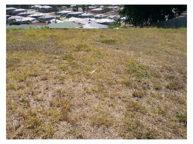 12 Dom Court, Narangba QLD 4504