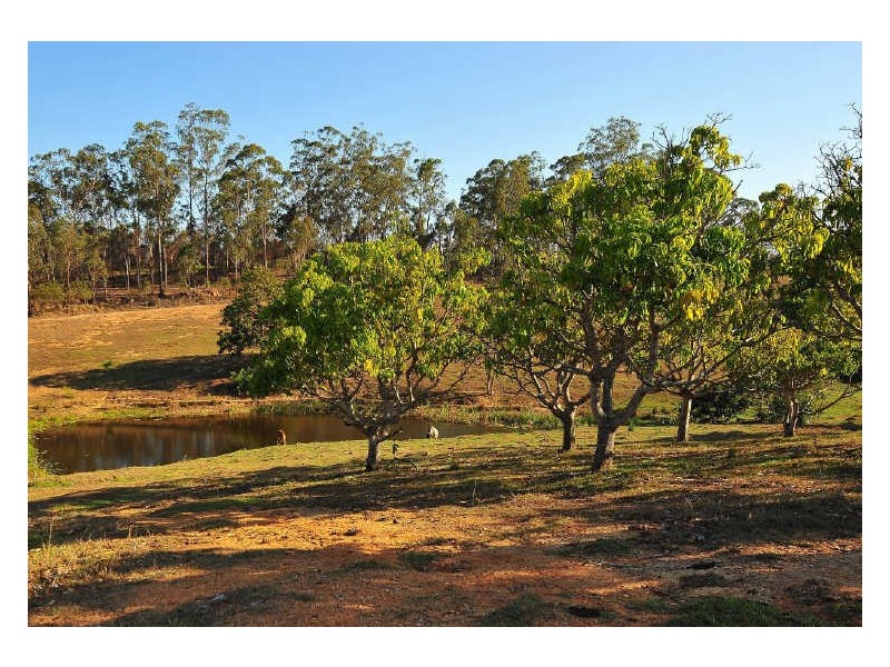 96-146 R Williams Road, Wamuran QLD 4512