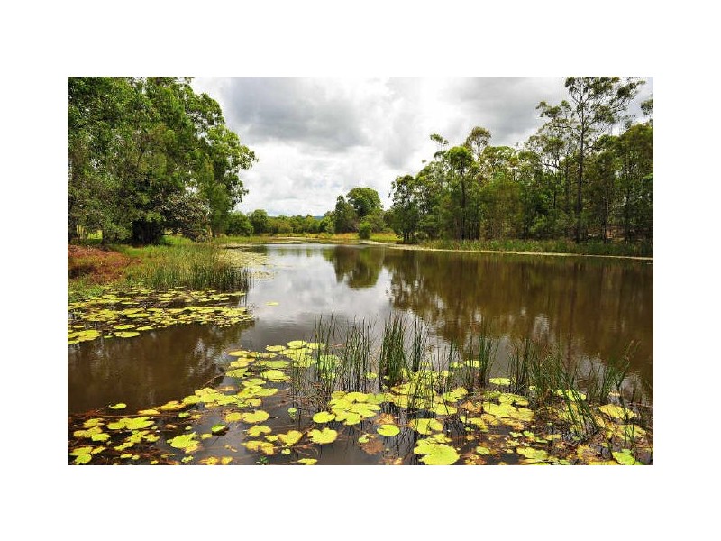 13-17 Alabama Court, Wamuran QLD 4512