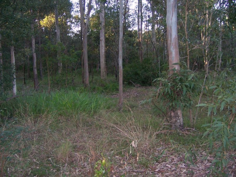 53 Progress Road, Burpengary QLD 4505