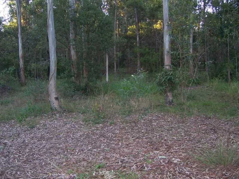 53 Progress Road, Burpengary QLD 4505