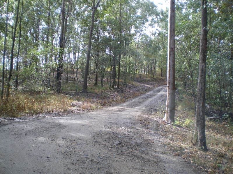 29 Wiley Street, Moorina QLD 4506