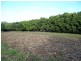 191 Tinney Road, Upper Caboolture QLD 4510