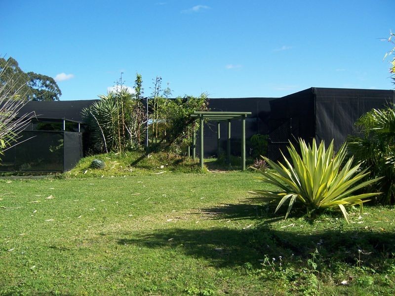 17 Moore Road, Burpengary QLD 4505