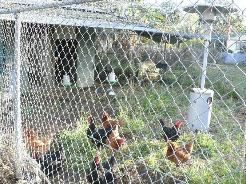 132 Male Road, Caboolture QLD 4510