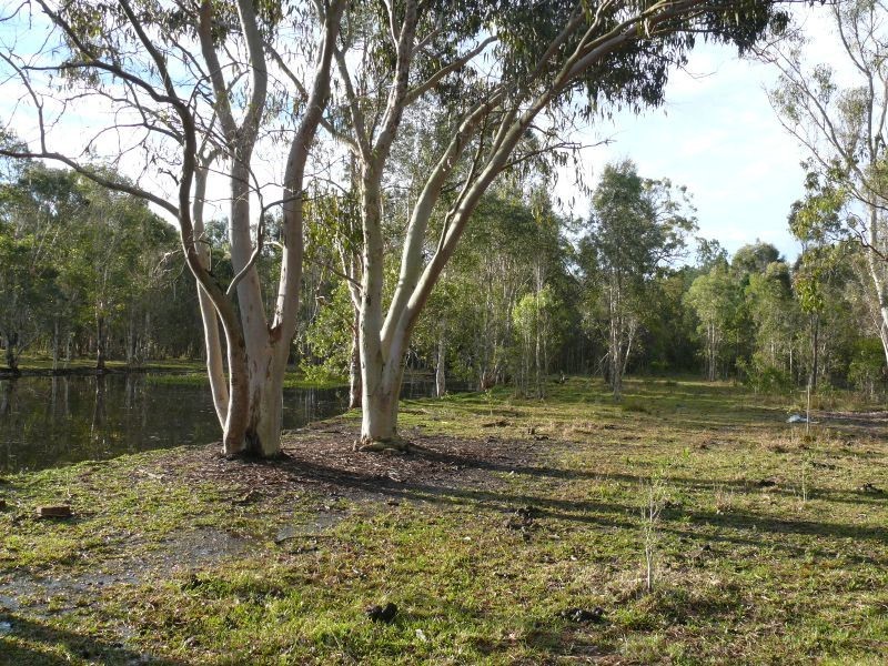 132 Male Road, Caboolture QLD 4510