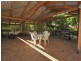 30 Biske Court, Burpengary QLD 4505
