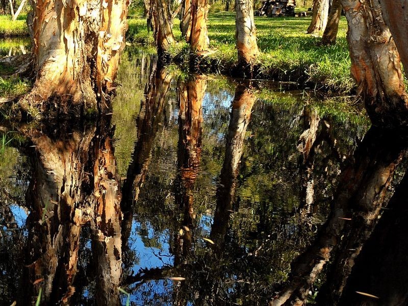 30 Biske Court, Burpengary QLD 4505