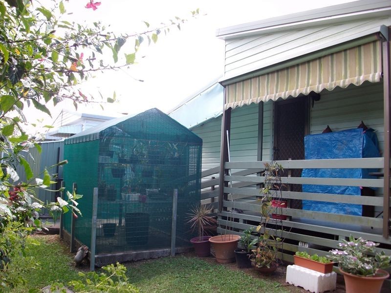 157 Golden Cane  Burpengary Pine Village, Burpengary QLD 4505