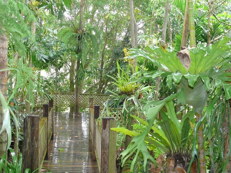 5 Honeyeater Court, Upper Caboolture QLD 4510