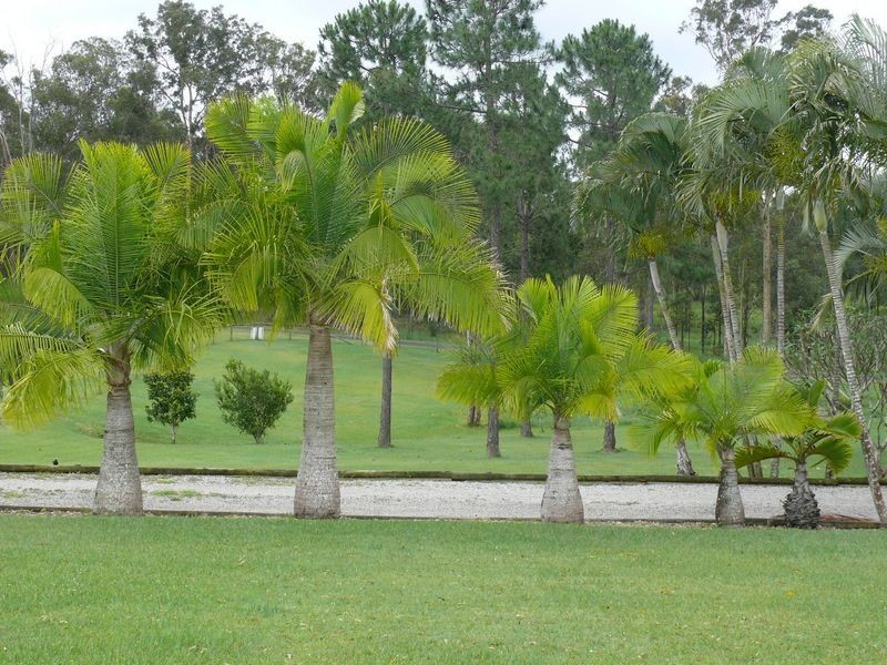 5 Honeyeater Court, Upper Caboolture QLD 4510