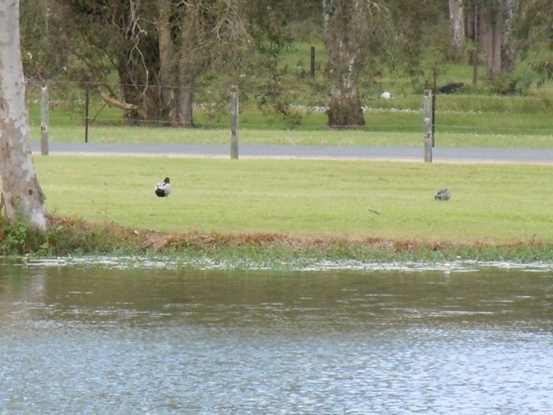 318 Old Bay Road, Burpengary QLD 4505