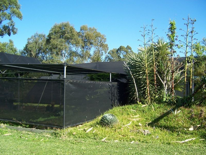 17 Moore Road, Burpengary QLD 4505
