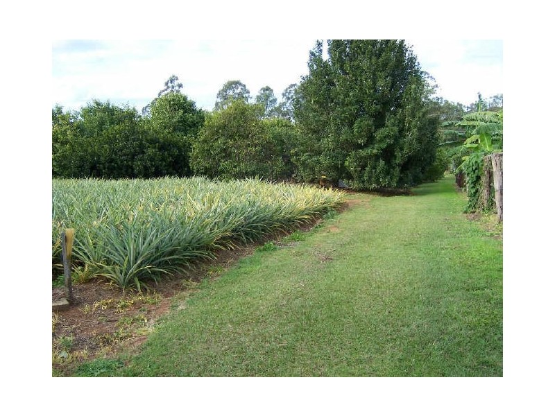 183 Tinney Road, Upper Caboolture QLD 4510