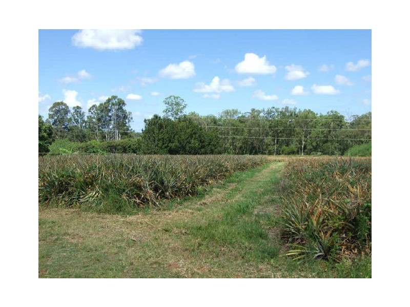 183 Tinney Road, Upper Caboolture QLD 4510