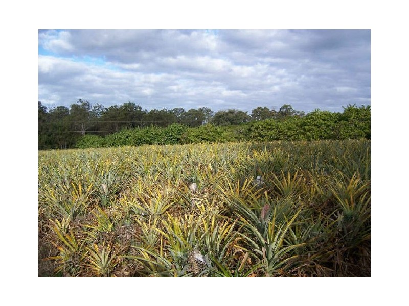 183 Tinney Road, Upper Caboolture QLD 4510
