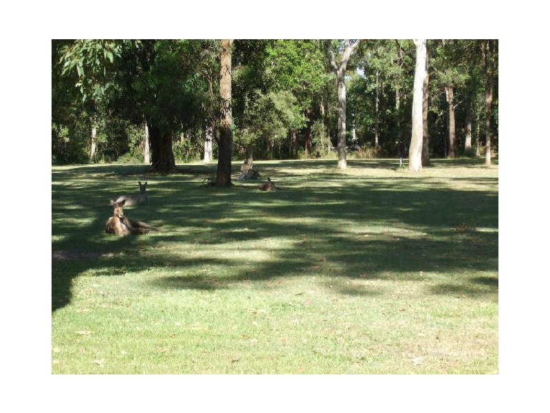 6 Bassett Road, Burpengary QLD 4505