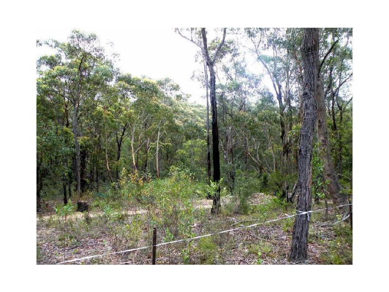 Buxton NSW 2571