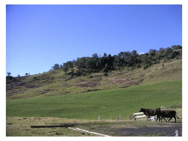 15 Tyrone Road, Picton NSW 2571