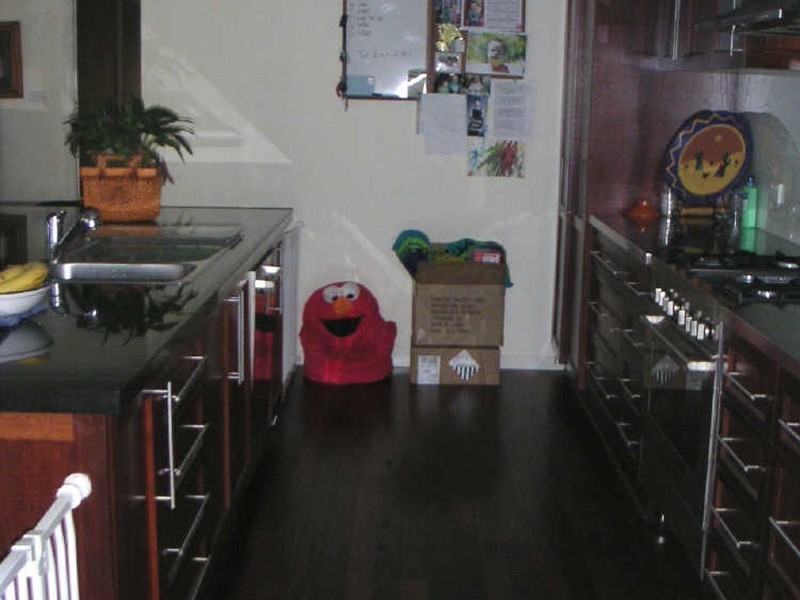 132 Camden Road, Douglas Park NSW 2569