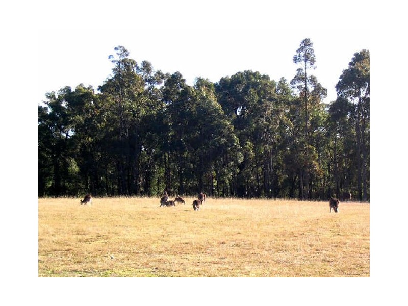 Thirlmere NSW 2572