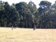 Thirlmere NSW 2572