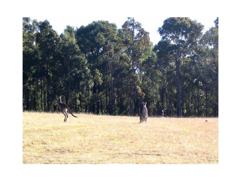 Thirlmere NSW 2572