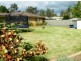 31 Turner Street, Thirlmere NSW 2572
