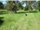 Yanderra NSW 2574