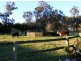 Thirlmere NSW 2572