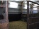 Bargo NSW 2574