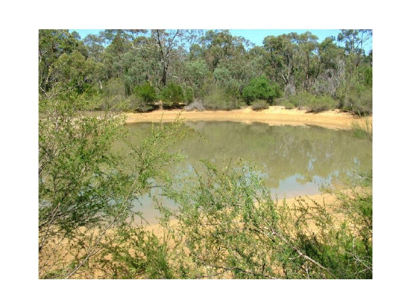 Pheasants Nest NSW 2574