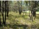 Pheasants Nest NSW 2574