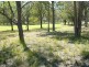 Pheasants Nest NSW 2574