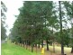 Oakdale NSW 2570