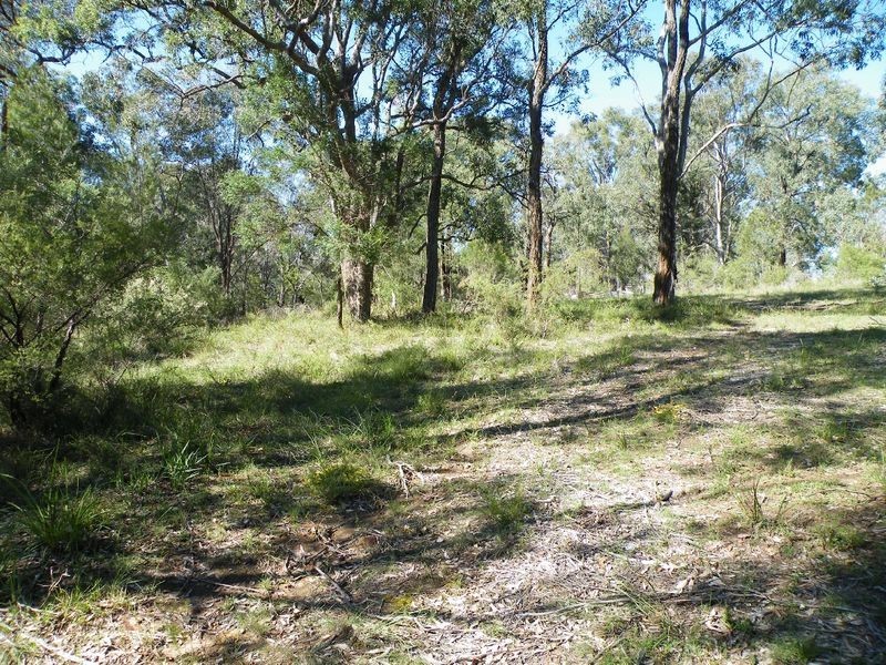 Wilton NSW 2571
