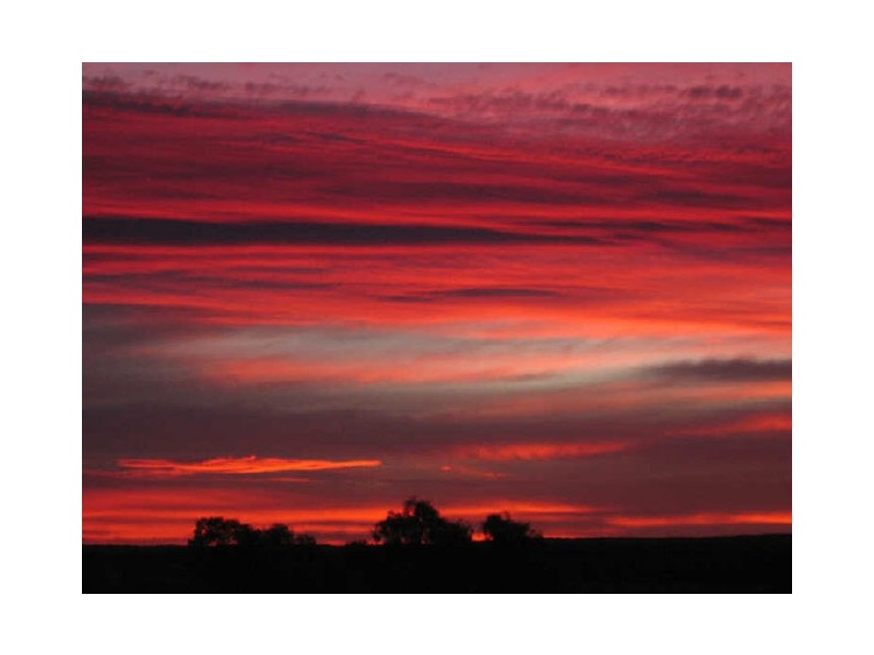 3 Merlin St, The Oaks NSW 2570