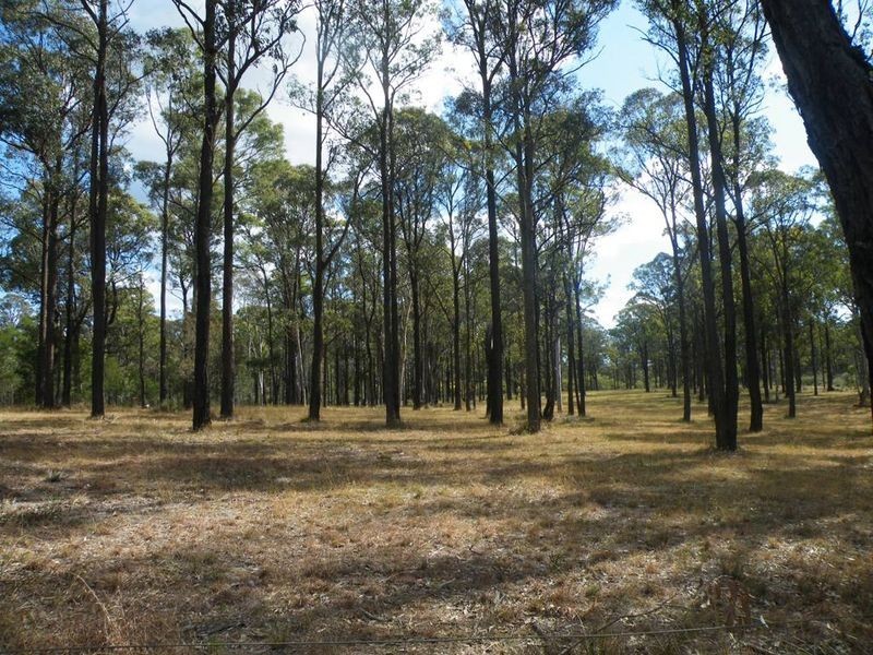 105 Marcus Street, Wilton NSW 2571