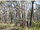 Bargo NSW 2574