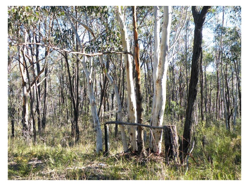 Bargo NSW 2574