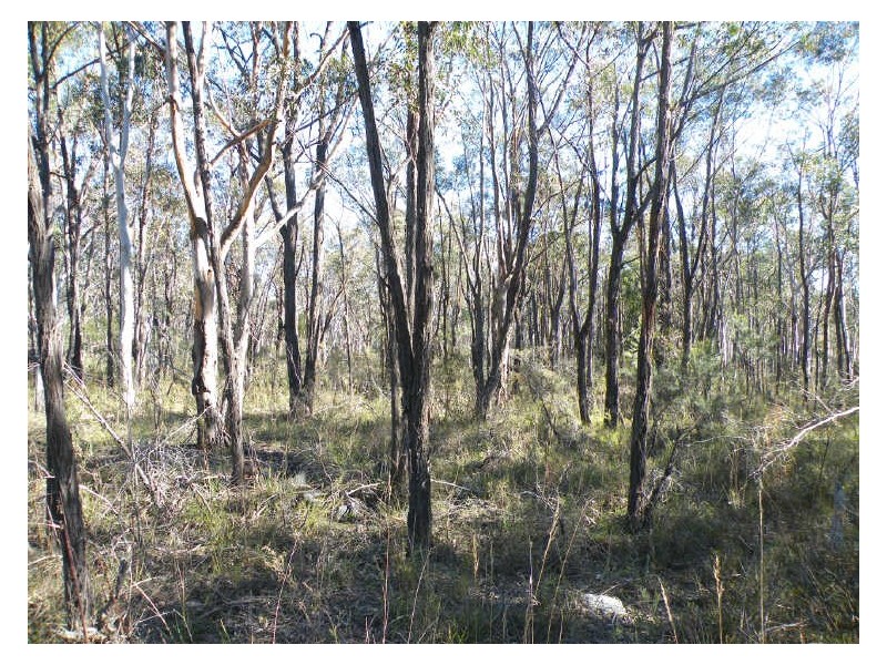 Bargo NSW 2574