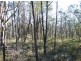 Bargo NSW 2574
