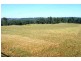 Wilton NSW 2571