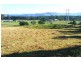 Wilton NSW 2571