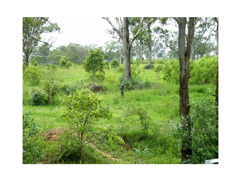 Currans Hill NSW 2567
