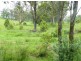 Currans Hill NSW 2567