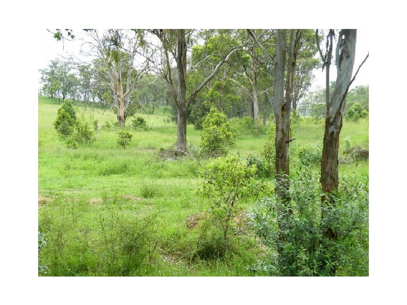 Currans Hill NSW 2567